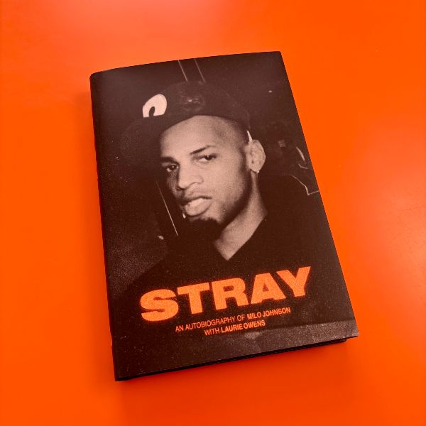 Stray by Laurie Owens and Milo Johnson
